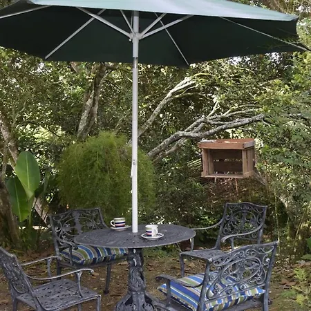Nirvana House Calima Darien Exterior photo