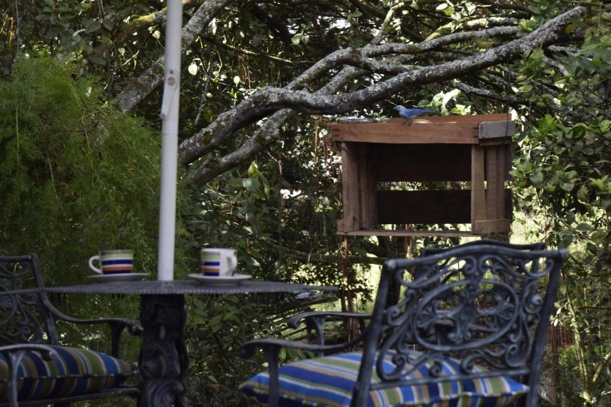 Nirvana House Darien Holiday home *